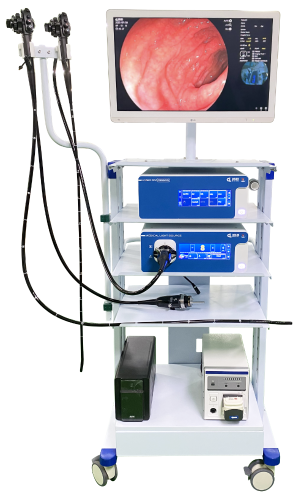 Gastro-Colon Update 12 Juni 2025 - web version