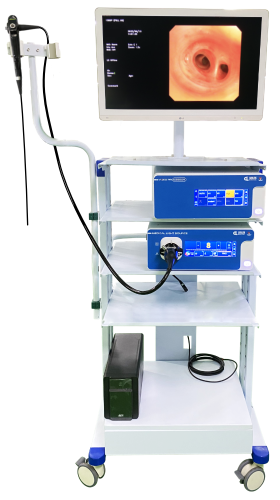 bronchoscopy update 12 juni 2025 - web version